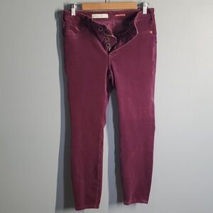 Anthropologie X Pilcro collaboration women's size 8 Button-Fly Skinny high-rise